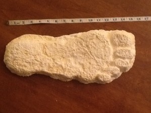 bigfoot track cast made by police officer Dennis Heryford measuring 15" 