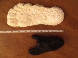 bigfoot track cast compared with gorillla cast showing different alignment great toe