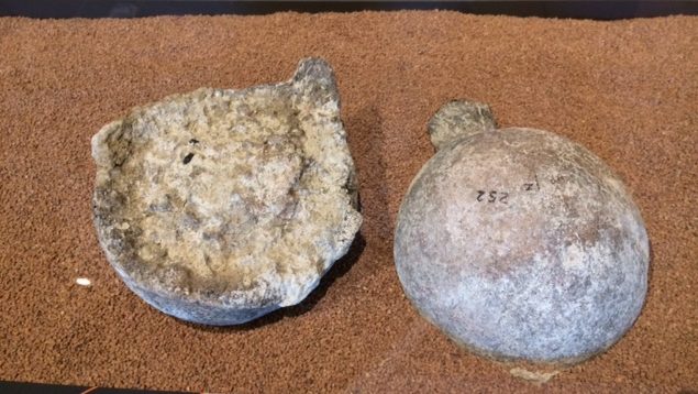 These two mastodon femur heads were broken off the larger femur bones by using a hammer stone and anvil stone. The femur heads were placed side by side, one face up, the other face down, by hominin hands.