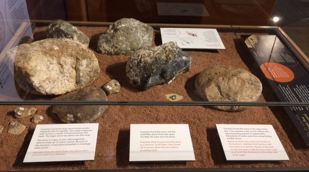 Cerutti hammer stones and anvils. Three Cerutti hammer stones (foreground) and two anvil stones (background). The stones have not been intentionally modified. Large hammer stone, far left, has six pieces broken lying in front of it as an unintended consequence of striking it against other bone/rock.