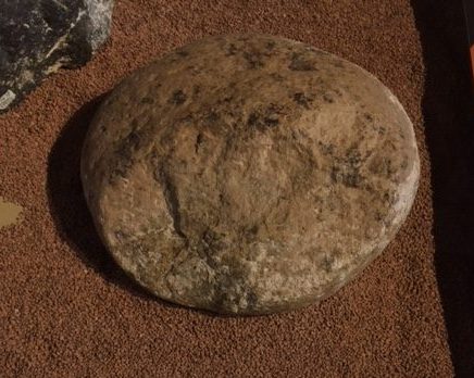 Round hammer stone used to break open mastodon bones.